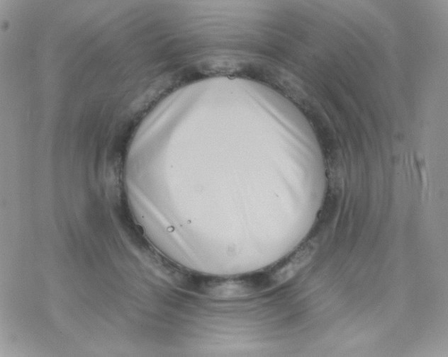 X0000074950460200609291852