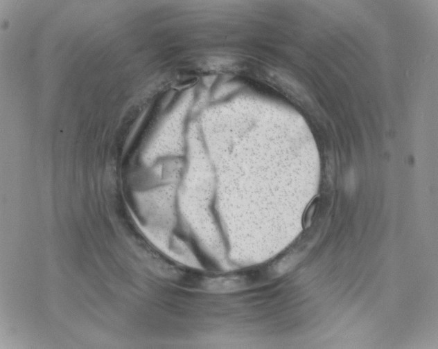 X0000074950461200609291852