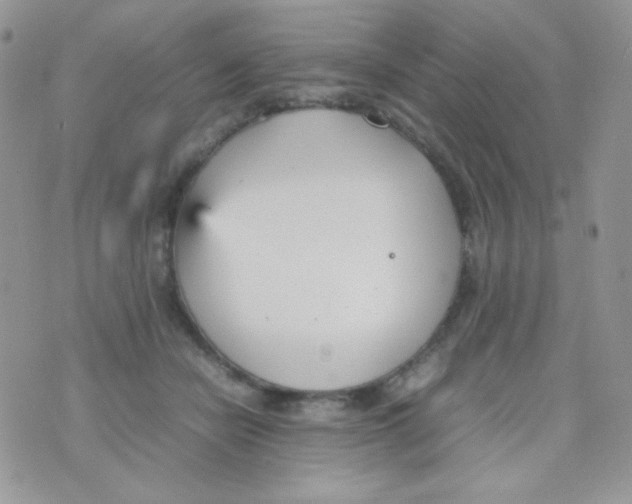 X0000074950462200609291852