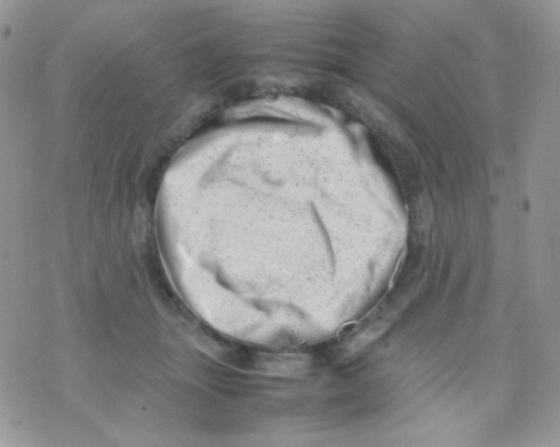 X0000074950463200609291852