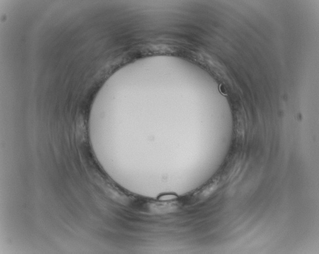 X0000074950465200609291852