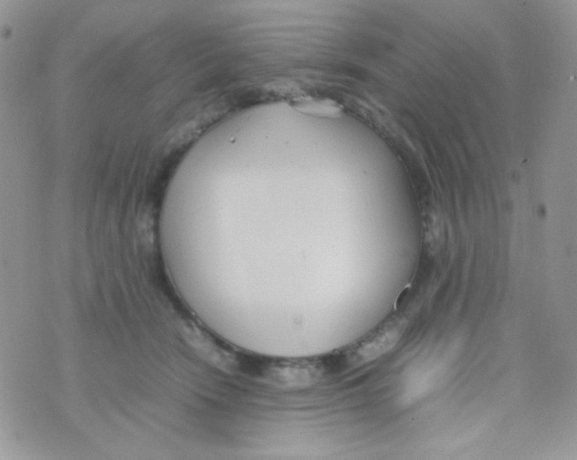 X0000074950466200609291852