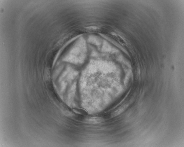 X0000074950467200609291852