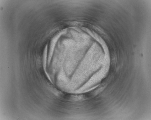 X0000074950469200609291852