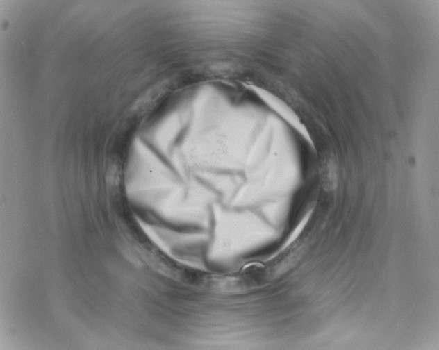 X0000074950472200609291852