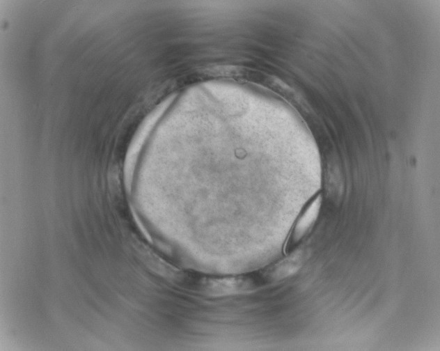 X0000074950473200609291852