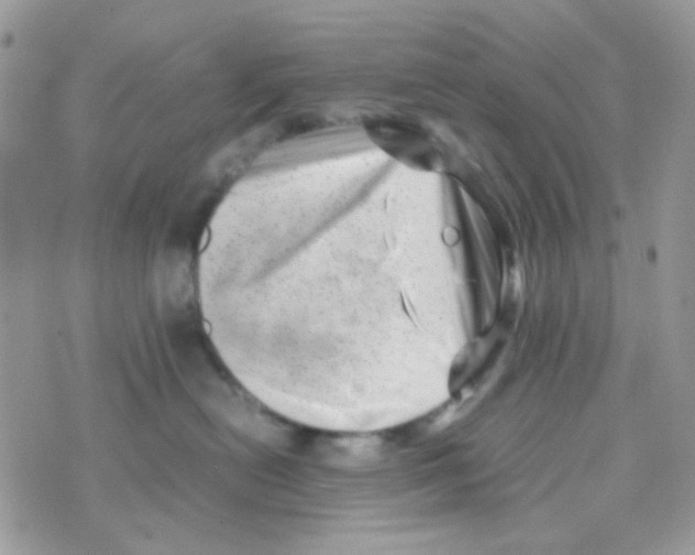 X0000074950478200609291852