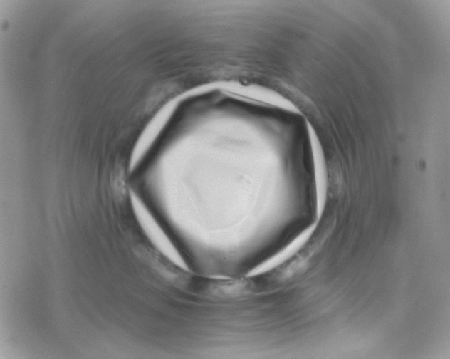 X0000074950479200609291852