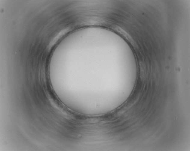 X0000074950482200609291851