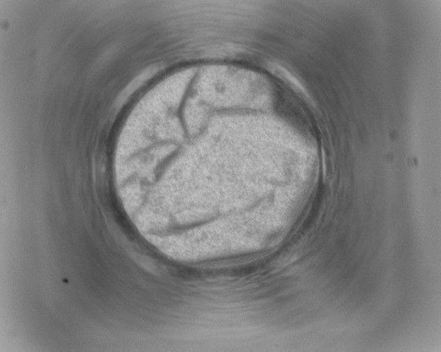 X0000074950483200609291851