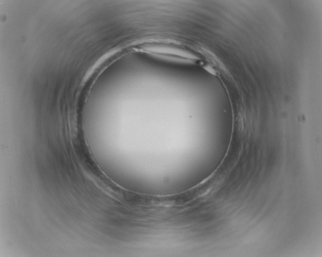 X0000074950484200609291851