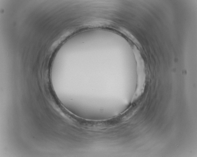 X0000074950485200609291851