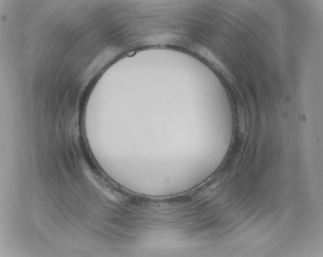 X0000074950486200609291851