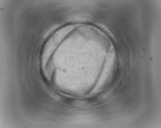 X0000074950487200609291851