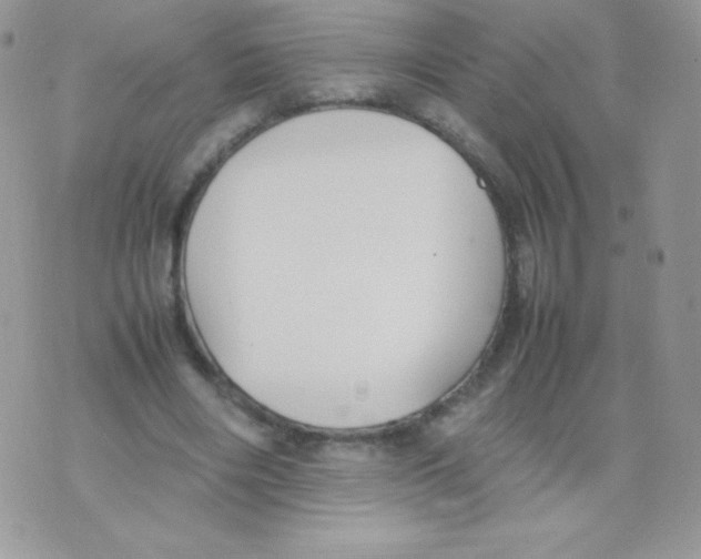 X0000074950490200609291851