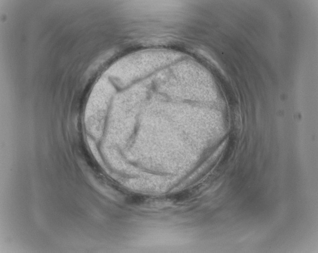 X0000074950491200609291851