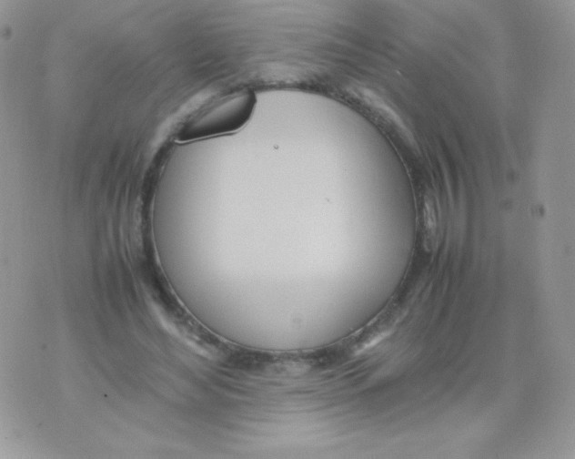 X0000074950492200609291851