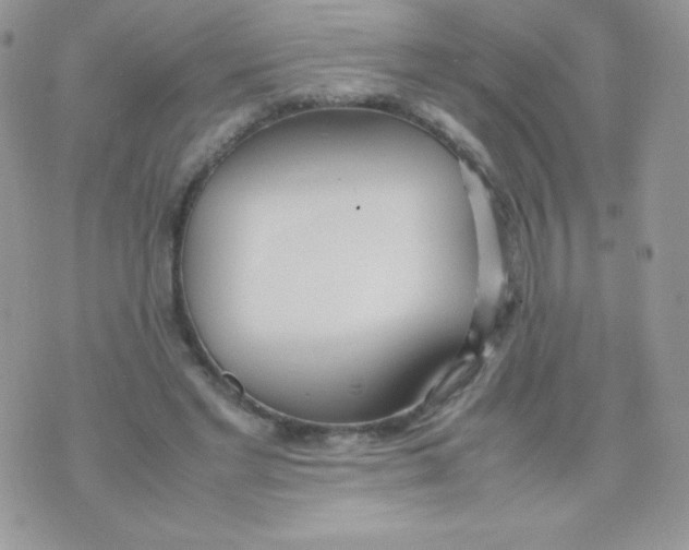 X0000074950493200609291851