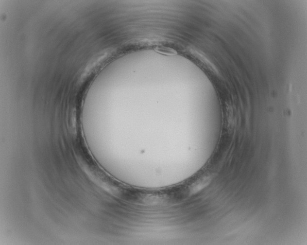 X0000074950494200609291851