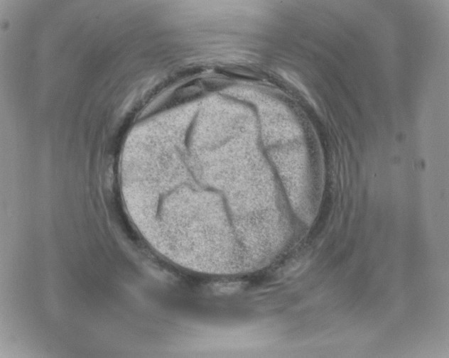 X0000074950495200609291851