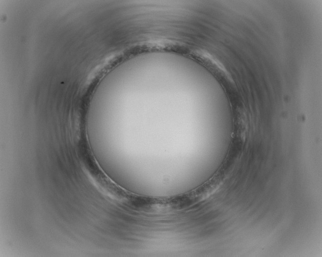 X0000074950496200609291851