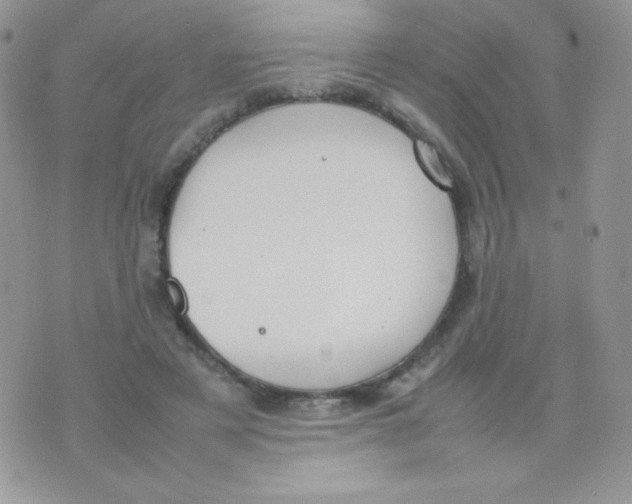 X0000074950497200609291851