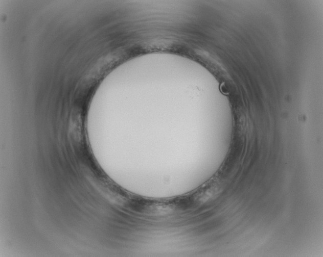 X0000074950498200609291851