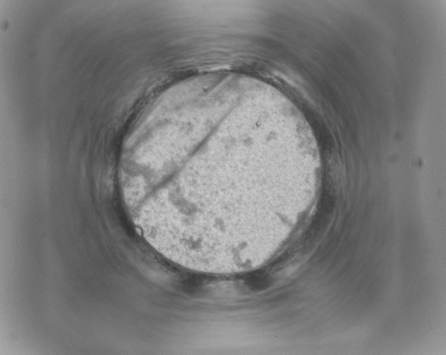 X0000074950499200609291851