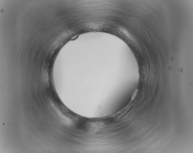 X0000074950500200609291851