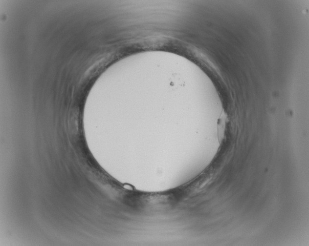 X0000074950501200609291851