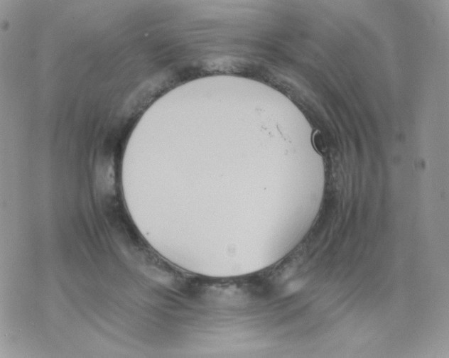 X0000074950502200609291851