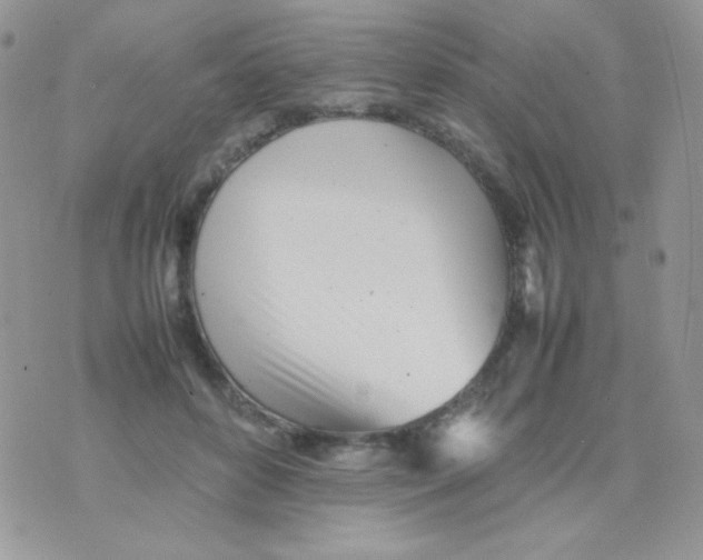 X0000074950504200609291851