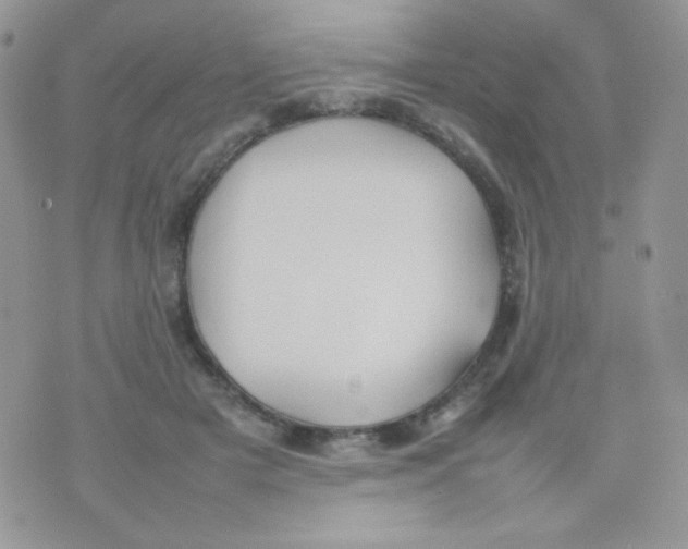 X0000074950505200609291851