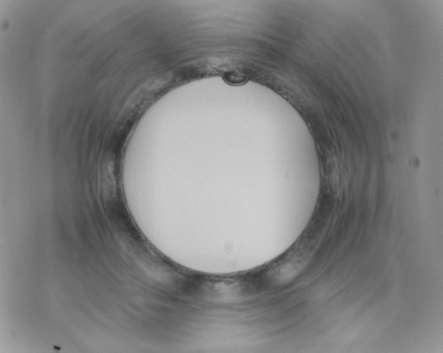 X0000074950506200609291851