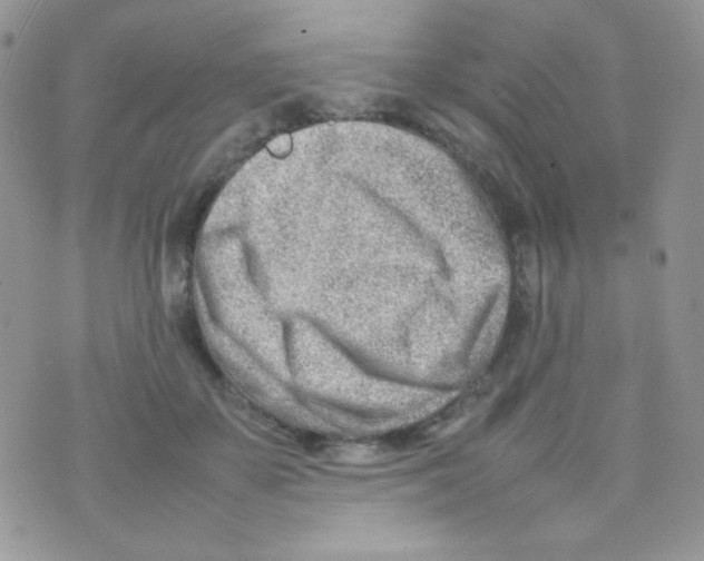 X0000074950507200609291851