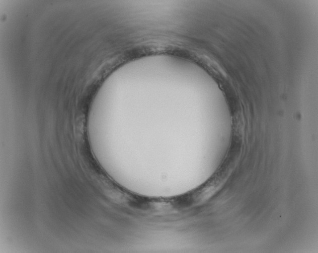 X0000074950509200609291851