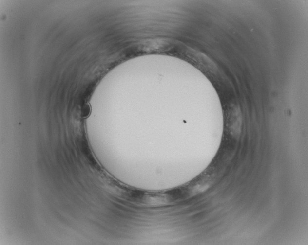 X0000074950510200609291851