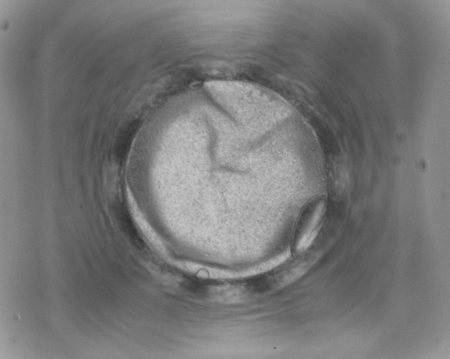 X0000074950511200609291851