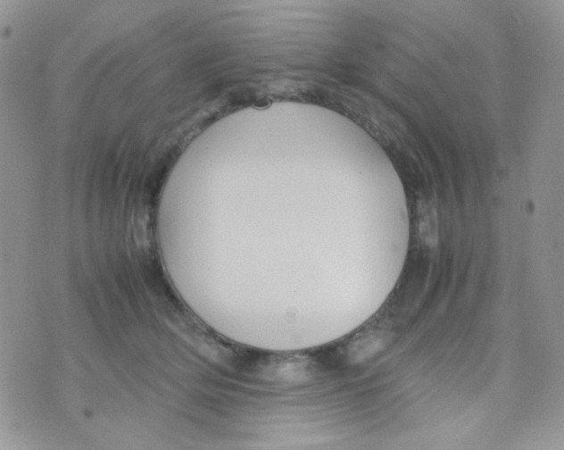 X0000074950514200609291851