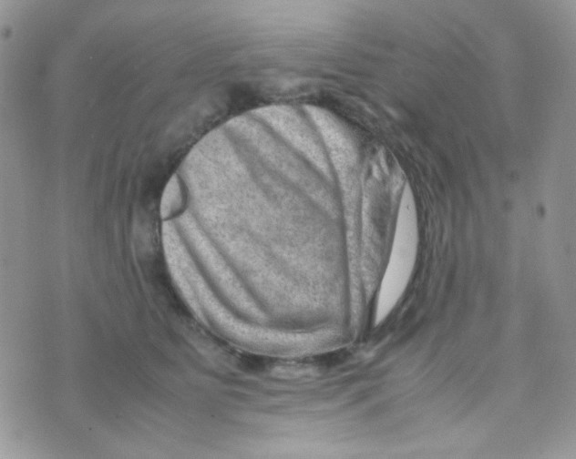 X0000074950515200609291851