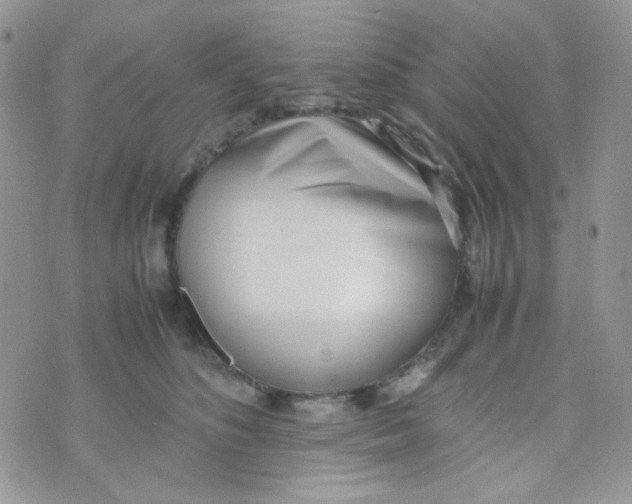 X0000074950516200609291851