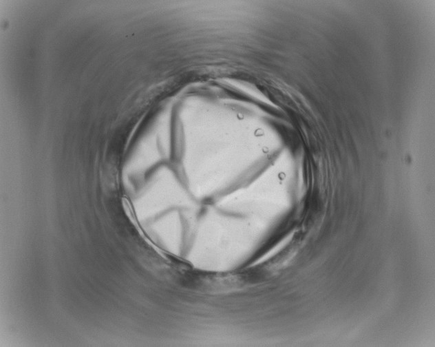 X0000074950517200609291851