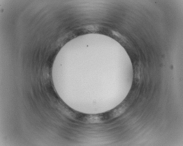 X0000074950518200609291851