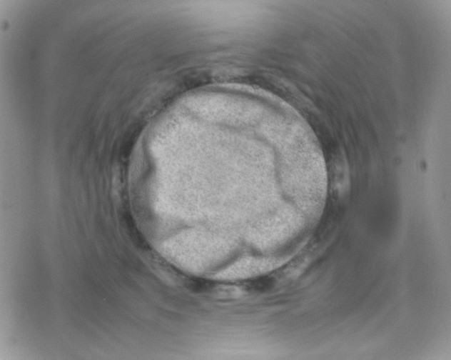 X0000074950519200609291851