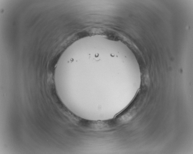 X0000074950521200609291851