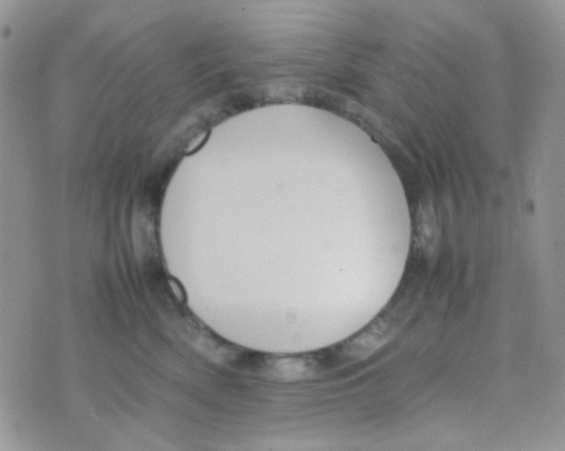 X0000074950522200609291851