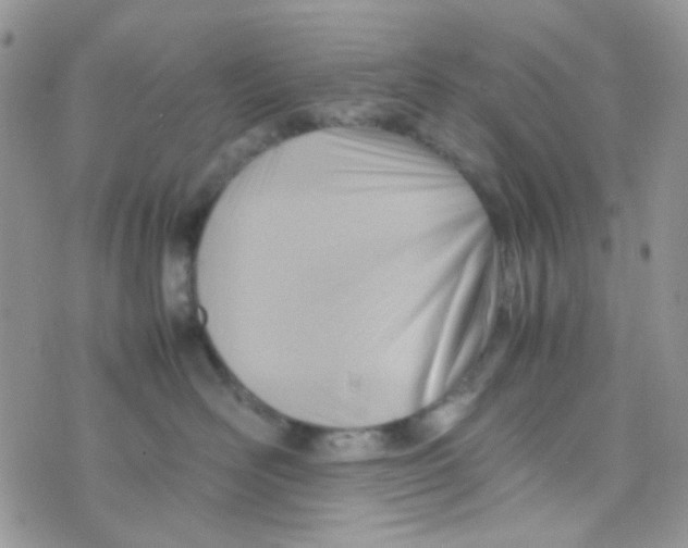 X0000074950526200609291850