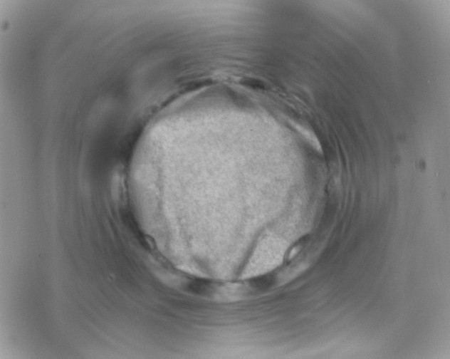 X0000074950527200609291850