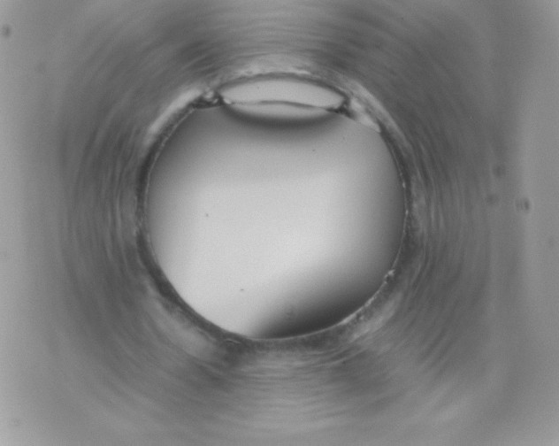 X0000074950530200609291850