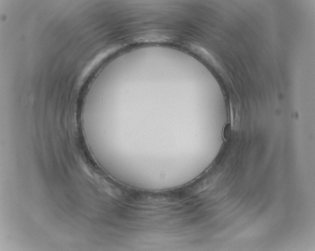 X0000074950531200609291850